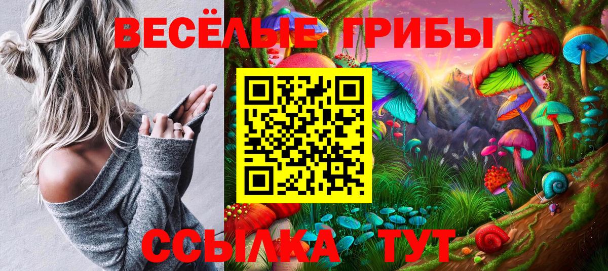 Псилоцибиновые грибы прущие грибы Ярцево